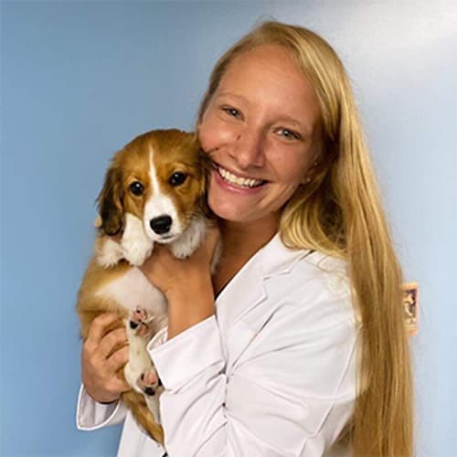 Dr. Elizabeth Coburn, Stroudsburg Veterinarian