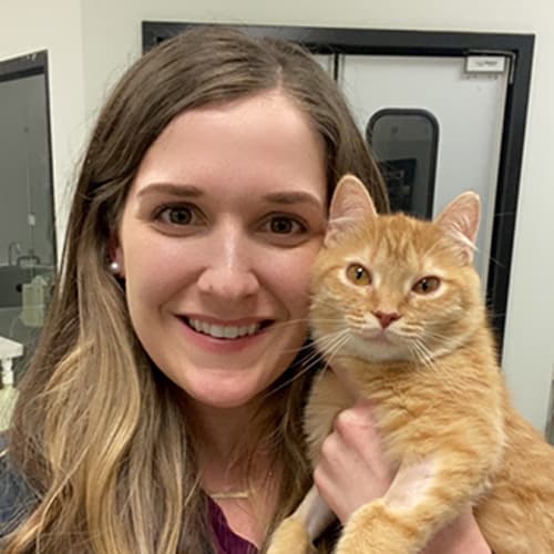 Dr. Kylie Chciuk, Stroudsburg Veterinarian